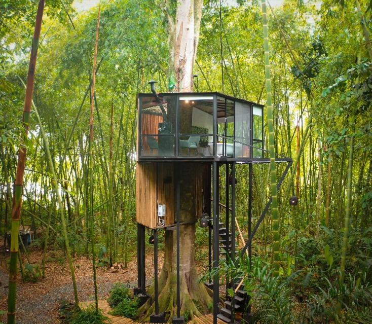 Amanatu Ecolodge & Spa Quimbaya Exteriér fotografie