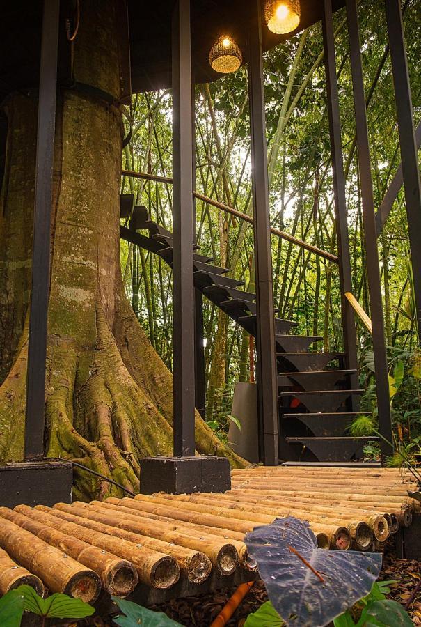 Amanatu Ecolodge & Spa Quimbaya Exteriér fotografie