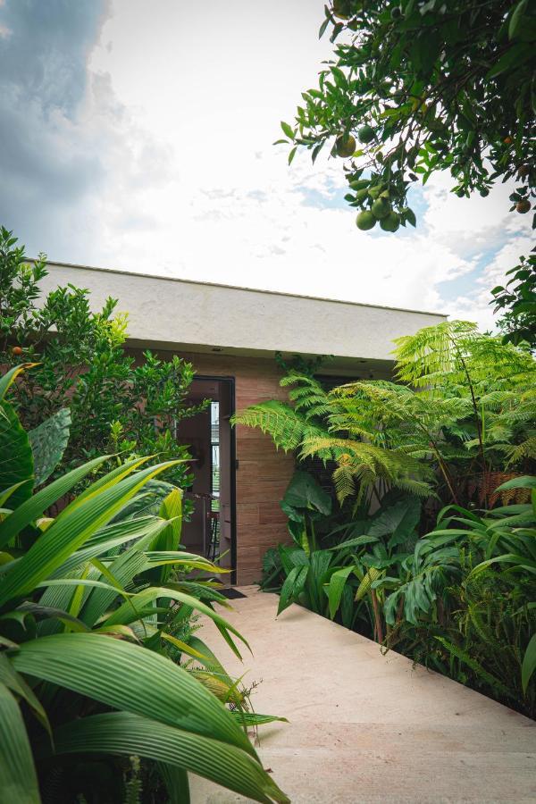 Amanatu Ecolodge & Spa Quimbaya Exteriér fotografie